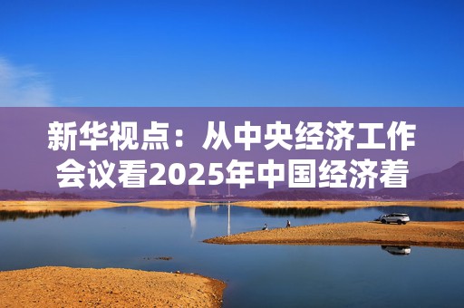 新华视点：从中央经济工作会议看2025年中国经济着力点