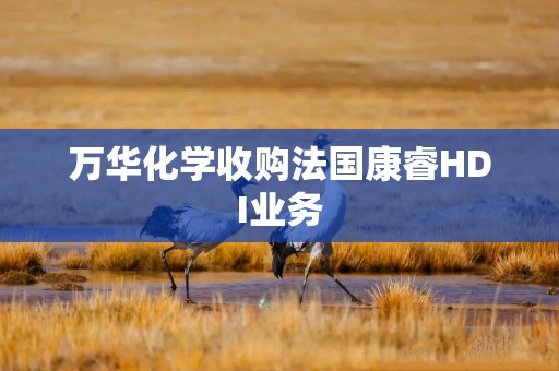 万华化学收购法国康睿HDI业务