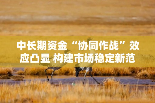 中长期资金“协同作战”效应凸显 构建市场稳定新范式