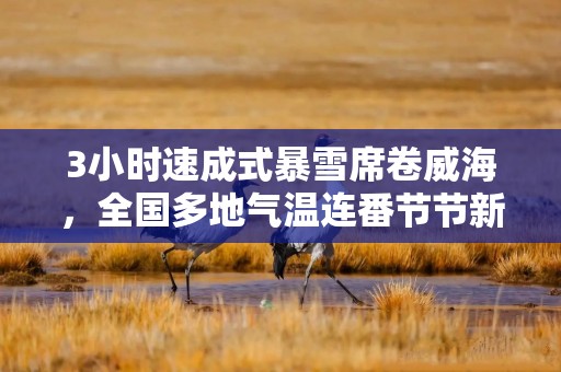 3小时速成式暴雪席卷威海，全国多地气温连番节节新低，权威预报：还要更低