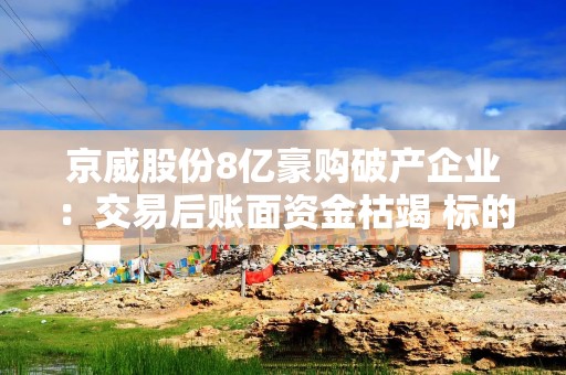 京威股份8亿豪购破产企业：交易后账面资金枯竭 标的南京知行曾6次流拍