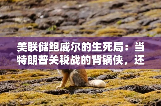 美联储鲍威尔的生死局：当特朗普关税战的背锅侠，还是保卫美联储独立的堂吉柯德？