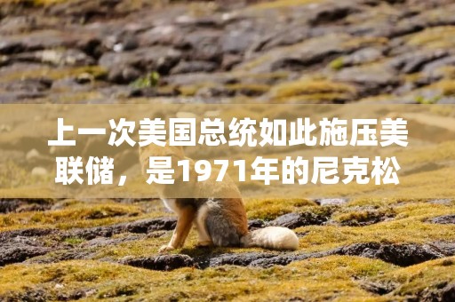 上一次美国总统如此施压美联储，是1971年的尼克松，两年后美国进入滞胀时代