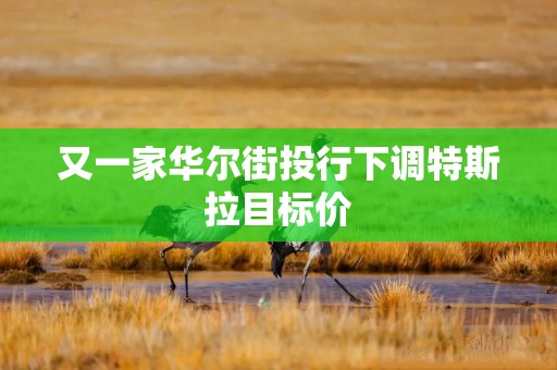 又一家华尔街投行下调特斯拉目标价
