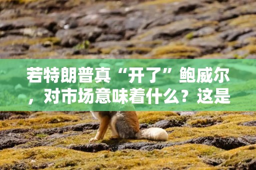 若特朗普真“开了”鲍威尔，对市场意味着什么？这是高盛的“金价4500美元”情景