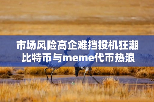 市场风险高企难挡投机狂潮 比特币与meme代币热浪滚滚