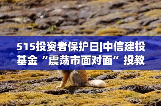 515投资者保护日|中信建投基金“震荡市面对面”投教视频：构建全维度内容生态体系