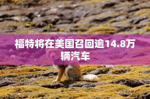 福特将在美国召回逾14.8万辆汽车