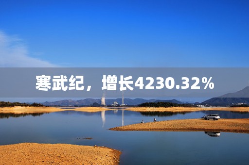 寒武纪，增长4230.32%