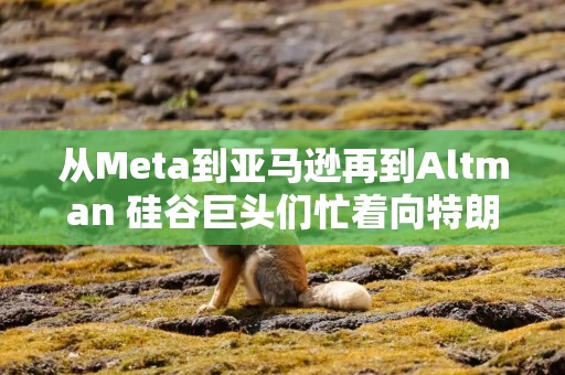 从Meta到亚马逊再到Altman 硅谷巨头们忙着向特朗普“献金”效忠