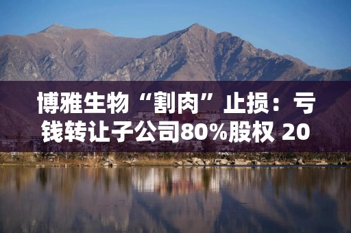 博雅生物“割肉”止损：亏钱转让子公司80%股权 2024年斥资近5亿元增资扩股