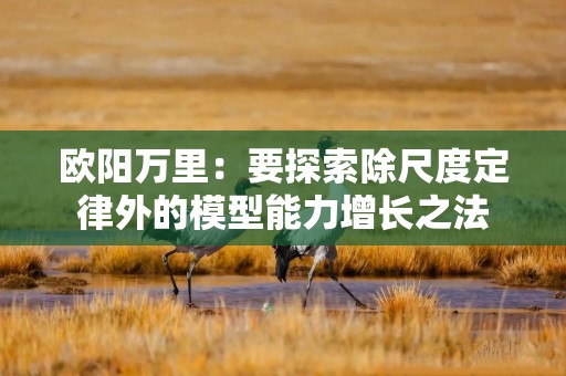 欧阳万里：要探索除尺度定律外的模型能力增长之法