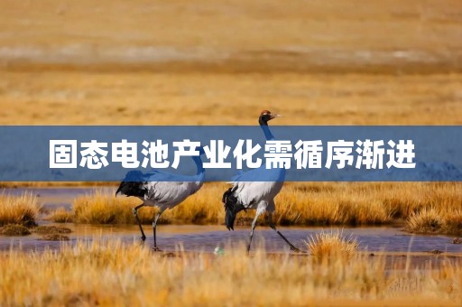 固态电池产业化需循序渐进