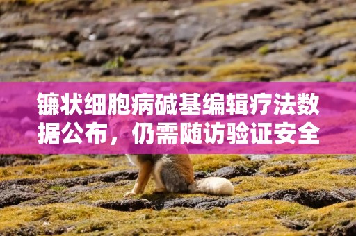 镰状细胞病碱基编辑疗法数据公布，仍需随访验证安全有效