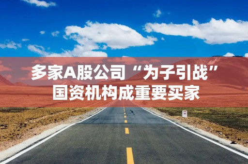 多家A股公司“为子引战” 国资机构成重要买家
