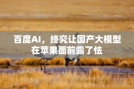 百度AI，终究让国产大模型在苹果面前露了怯