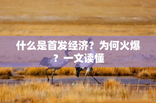 什么是首发经济？为何火爆？一文读懂