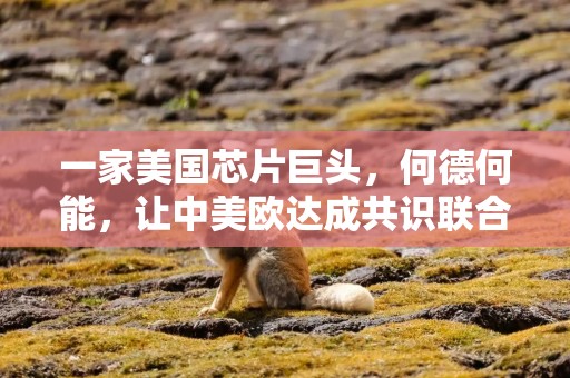 一家美国芯片巨头，何德何能，让中美欧达成共识联合夹击？