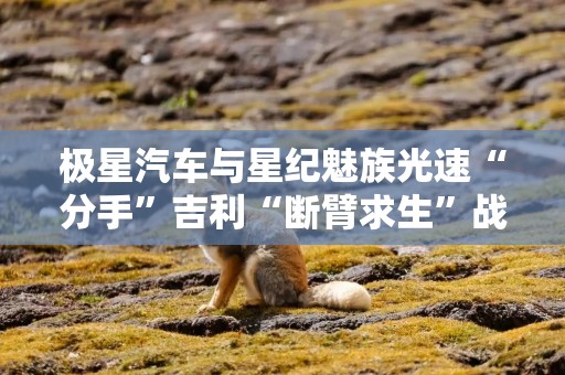 极星汽车与星纪魅族光速“分手”吉利“断臂求生”战略收缩