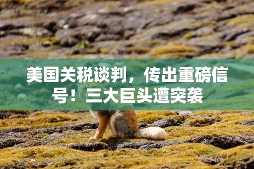 美国关税谈判，传出重磅信号！三大巨头遭突袭