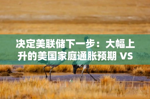 决定美联储下一步：大幅上升的美国家庭通胀预期 VS 下跌的金融市场通胀预期，谁错了？