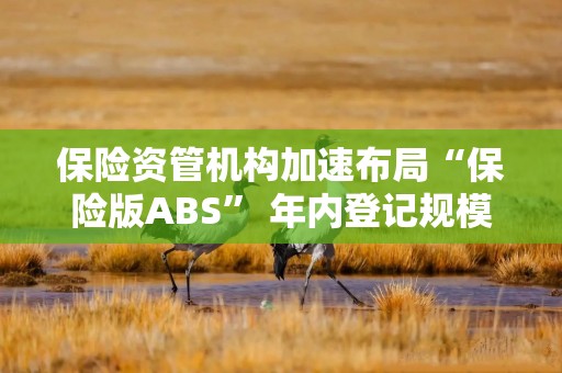 保险资管机构加速布局“保险版ABS” 年内登记规模近770亿元同比大增57%
