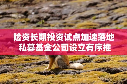险资长期投资试点加速落地 私募基金公司设立有序推进
