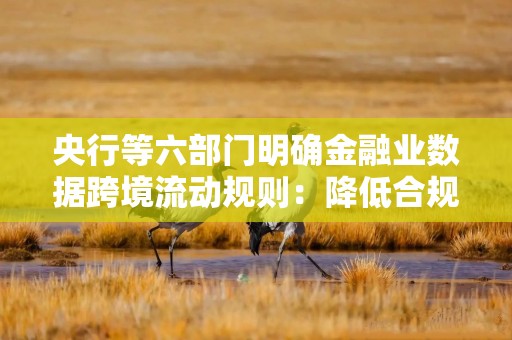 央行等六部门明确金融业数据跨境流动规则：降低合规成本，提高企业运营效率