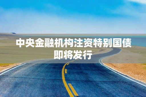 中央金融机构注资特别国债即将发行