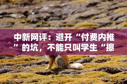 中新网评：避开“付费内推”的坑，不能只叫学生“擦亮眼”