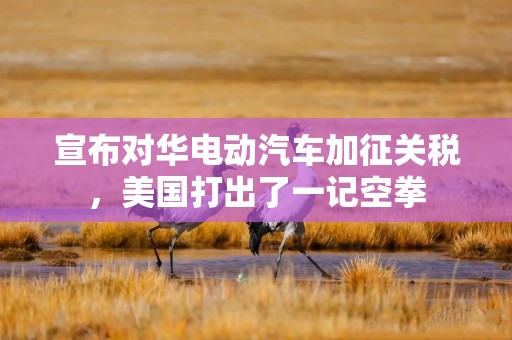 宣布对华电动汽车加征关税，美国打出了一记空拳