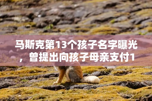 马斯克第13个孩子名字曝光，曾提出向孩子母亲支付1500万美元封口费