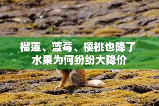 榴莲、蓝莓、樱桃也降了 水果为何纷纷大降价