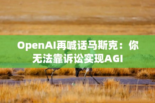 OpenAI再喊话马斯克：你无法靠诉讼实现AGI
