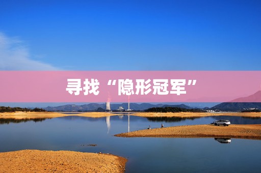 寻找“隐形冠军”