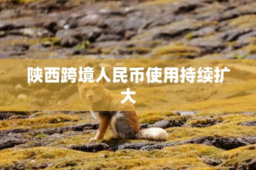 陕西跨境人民币使用持续扩大