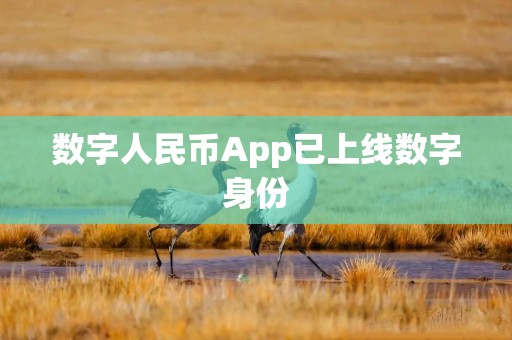 数字人民币App已上线数字身份