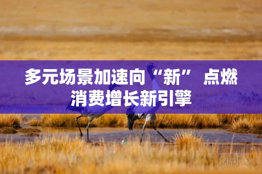 多元场景加速向“新” 点燃消费增长新引擎
