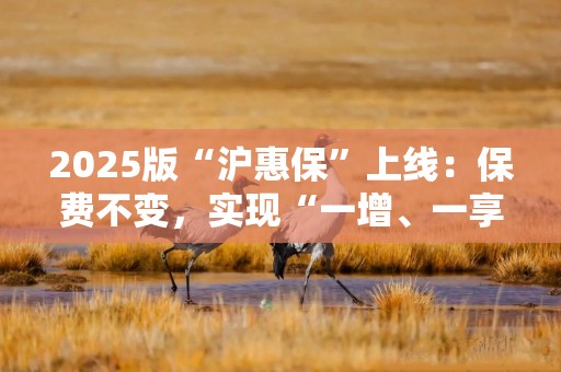 2025版“沪惠保”上线：保费不变，实现“一增、一享”