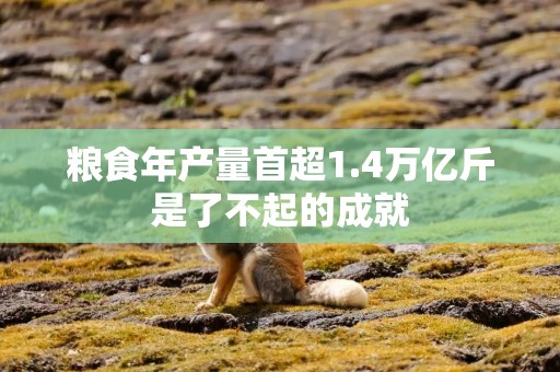 粮食年产量首超1.4万亿斤是了不起的成就