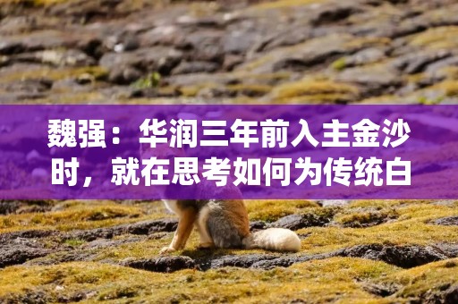 魏强：华润三年前入主金沙时，就在思考如何为传统白酒注入高质量发展动能
