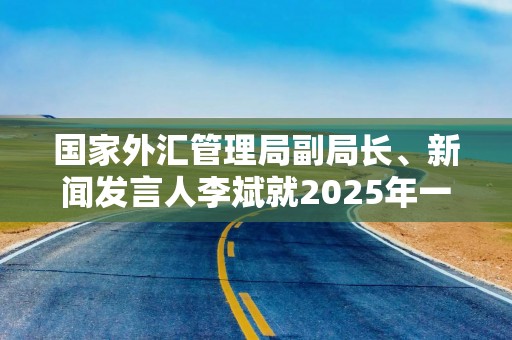 国家外汇管理局副局长、新闻发言人李斌就2025年一季度外汇收支形势答记者问