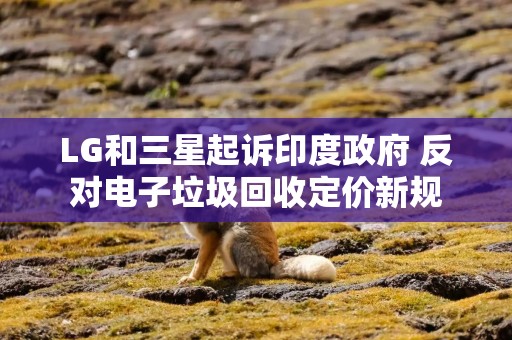 LG和三星起诉印度政府 反对电子垃圾回收定价新规