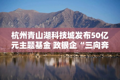 杭州青山湖科技城发布50亿元主题基金 政银企“三向奔赴”
