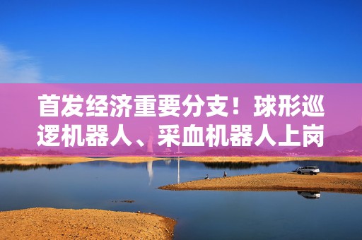 首发经济重要分支！球形巡逻机器人、采血机器人上岗 更多场景待解锁
