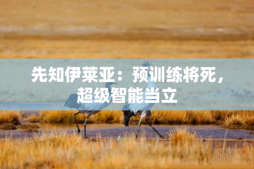 先知伊莱亚：预训练将死，超级智能当立