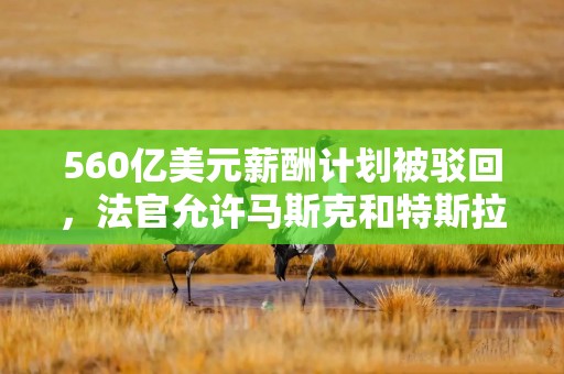560亿美元薪酬计划被驳回，法官允许马斯克和特斯拉上诉