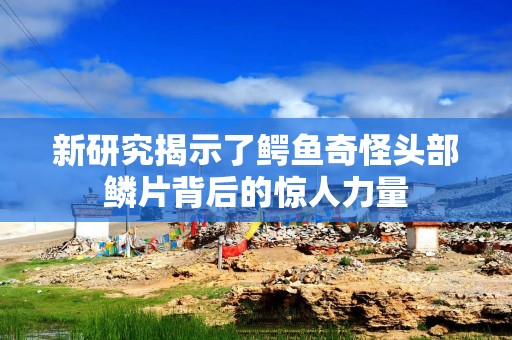 新研究揭示了鳄鱼奇怪头部鳞片背后的惊人力量