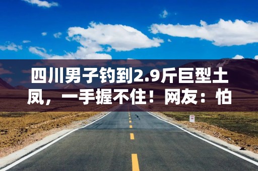 四川男子钓到2.9斤巨型土凤，一手握不住！网友：怕不是变异了！