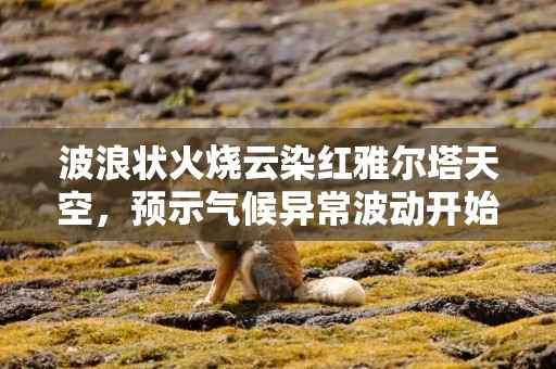 波浪状火烧云染红雅尔塔天空，预示气候异常波动开始？分析：频繁南下偏冷